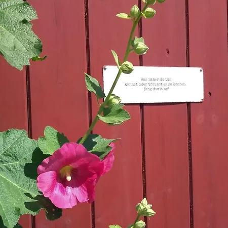 Prázdninový dům Luett Logis In